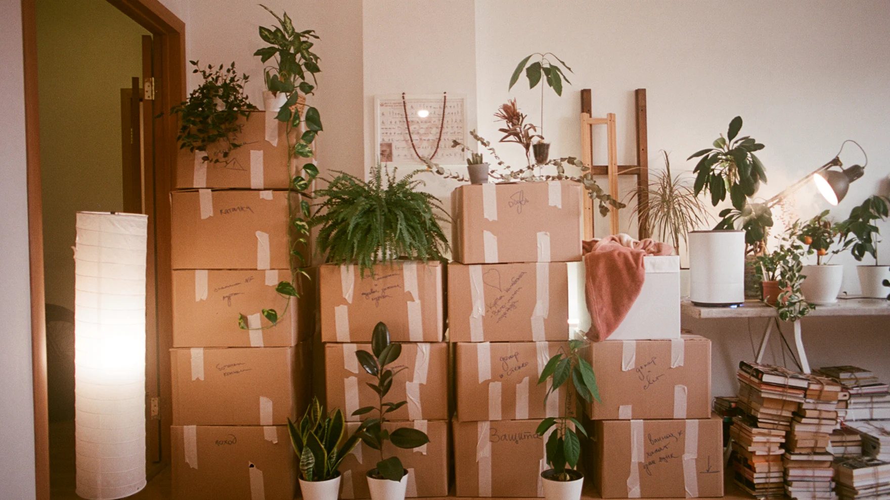 Gepackte Umzugskartons in einer Wohnung, bereit zum Abtransport
